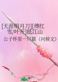 [天涯明月刀][傅红雪/叶开]抵江山