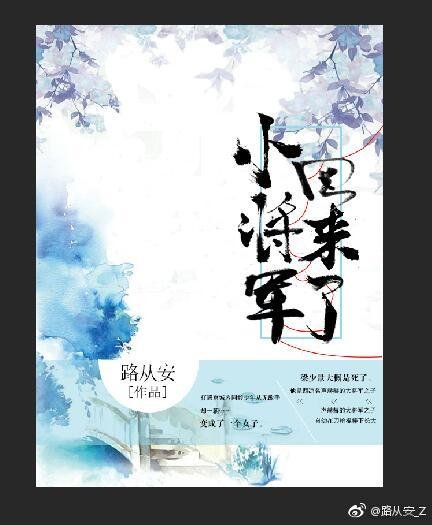 《小将军回来了》