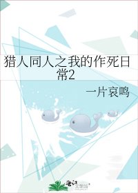 猎人同人之我的作死日常2