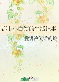 《都市小白领的生活记事》