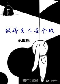 《傲娇夫人是个攻》