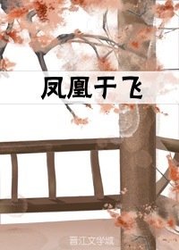 《凤凰于飞》
