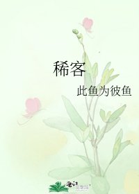 《稀客》