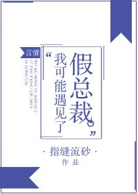 《我可能遇见了假总裁》