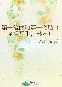 《第一流氓和第一盗贼(全职高手,林方)》