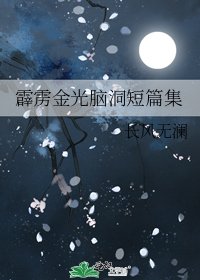 《霹雳金光脑洞短篇集》