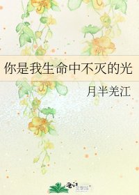 《你是我生命中不灭的光》