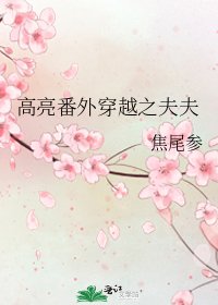 《高亮番外穿越之夫夫》