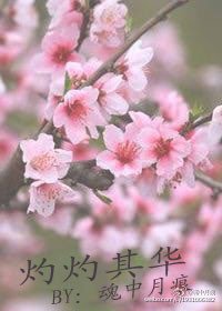 灼灼其华