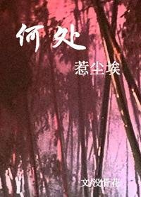 《何处惹尘埃》