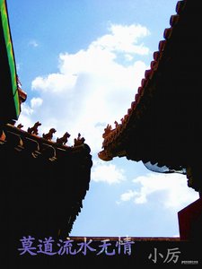 《莫道流水无情》