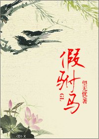《假驸马》