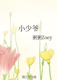《小少爷》