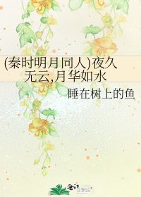 《(秦时明月同人)夜久无云,月华如水》