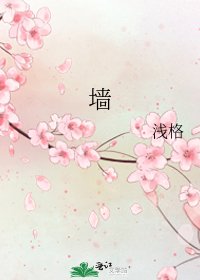 《墙》