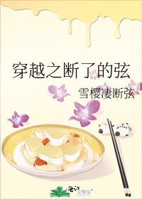 穿越之断了的弦