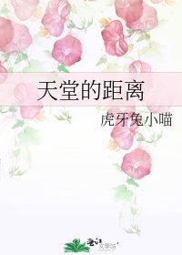 《天堂的距离》