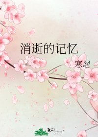 《消逝的记忆》
