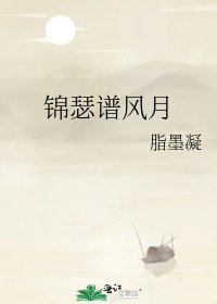 锦瑟谱风月
