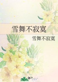 《雪舞不寂寞》
