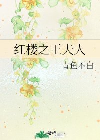 《红楼之王夫人》