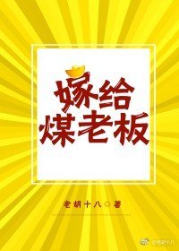 《嫁给煤老板》