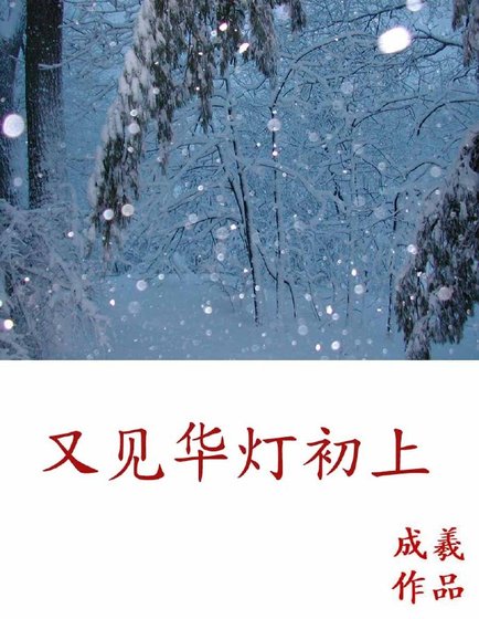《又见华灯初上》