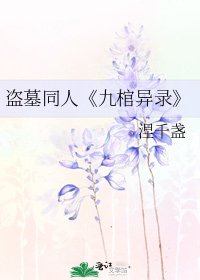 《九棺异录》