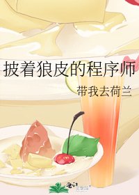 《披着狼皮的程序师》