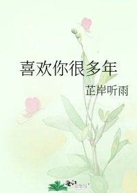 《喜欢你很多年》