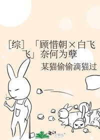 ［综］「顾惜朝×白飞飞」奈何为孽