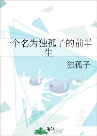 一个名为独孤子的前半生