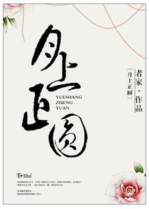 《她只是想生个孩子》