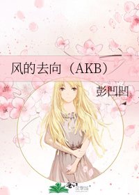 《风的去向(AKB)》