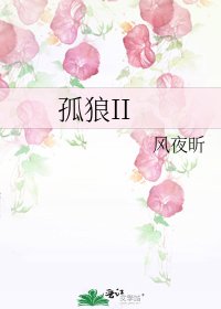 《孤狼II》
