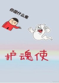 《护魂使》