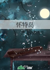 《怀特岛》