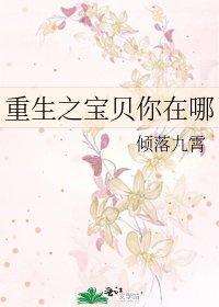 重生之宝贝你在哪