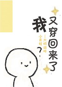 《我又穿回来了》