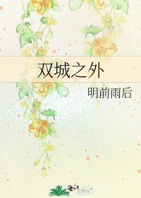 双城之外