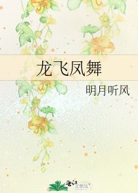 龙飞凤舞