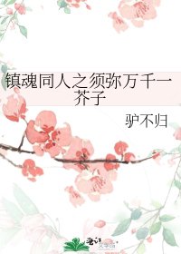 镇魂同人之须弥万千一芥子