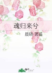 魂归来兮