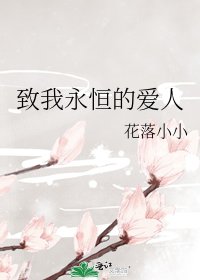 《致我永恒的爱人》
