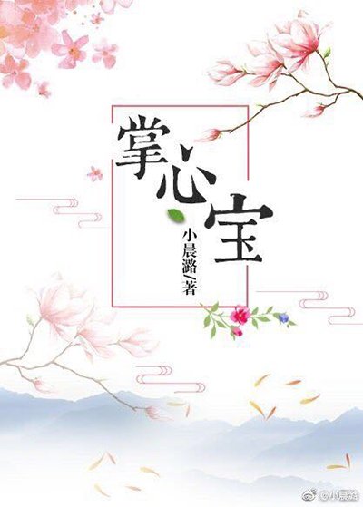 《掌心宝》