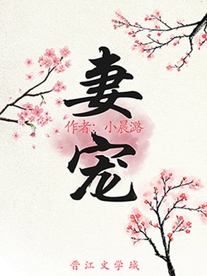 《妻宠(重生)》