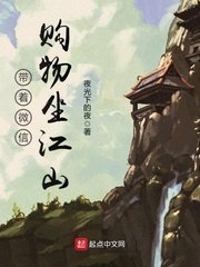 《带着微信购物坐江山》