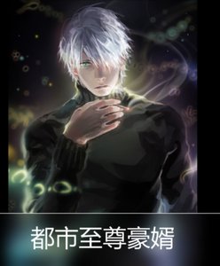 《都市至尊豪婿》