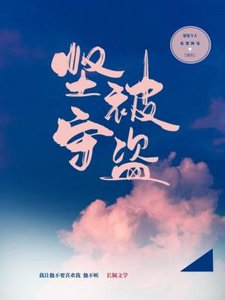 《监守被盗》