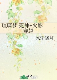 《琉璃梦 死神+火影 穿越》
